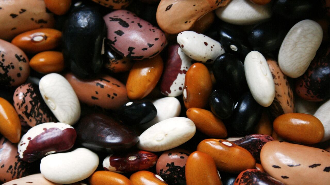 Assumere una quantità maggiore di proteine vegetali può difendere il nostro cuore
