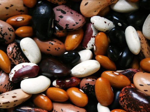 Assumere una quantità maggiore di proteine vegetali può difendere il nostro cuore