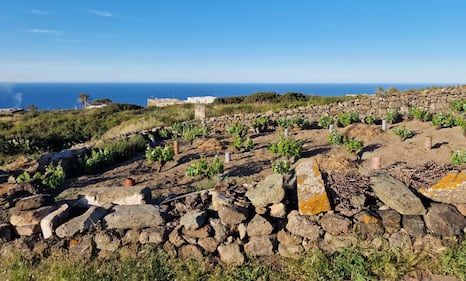 Mare, vigneti e tradizioni: il tesoro di Pantelleria 1