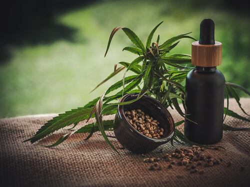 Olio di canapa, tutti i benefici