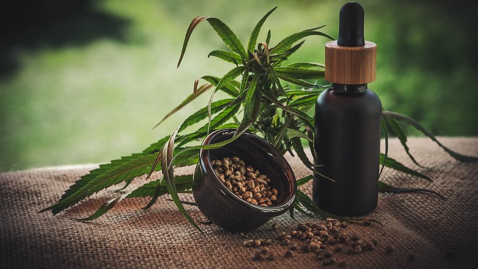 Olio di canapa, tutti i benefici