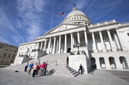 Primavera, trionfo di fiori a Washington 7