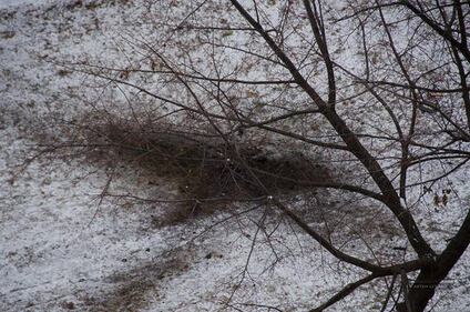Ucraina, razzi a Kramatorsk 11