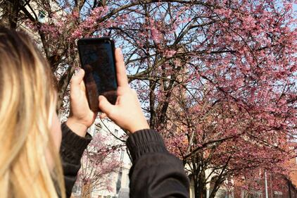 A Milano è primavera in anticipo  3