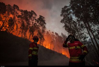 California devastata dagli incendi 9