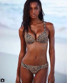 Jasmine Tookes, sempre più sexy su Instagram 25
