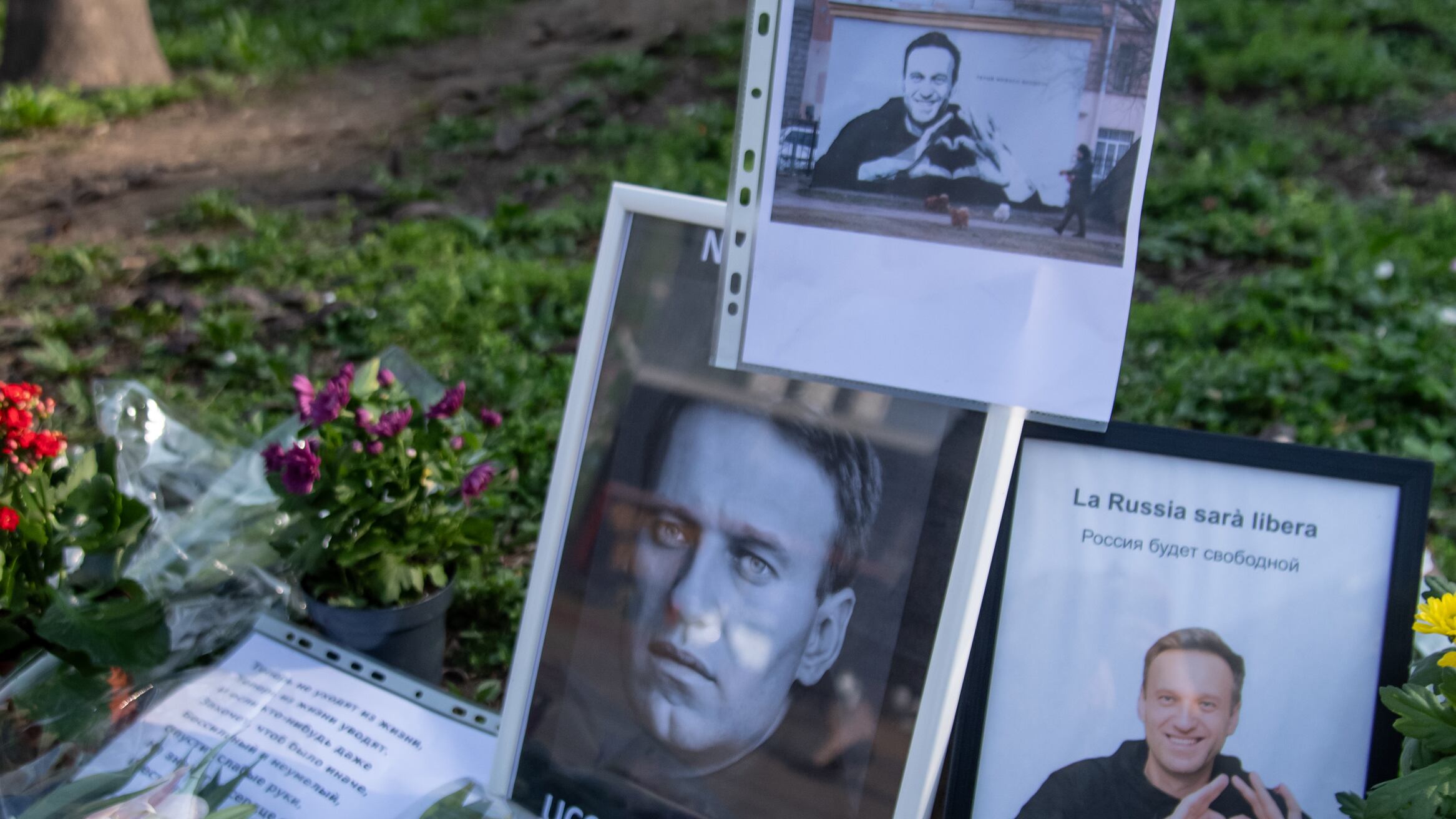 L'ultimo sfregio alla famiglia Navalny. "Funerale segreto o sepolto in Siberia"