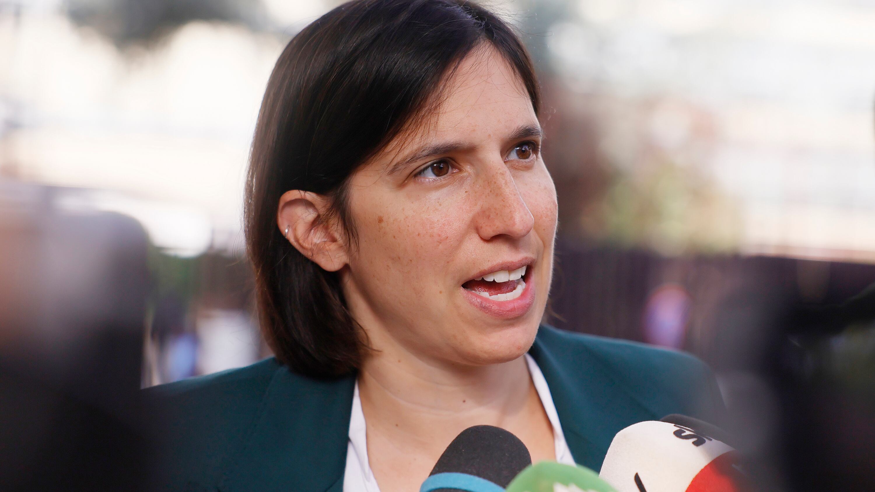 Paradosso Elly: il referendum può bruciare proprio lei