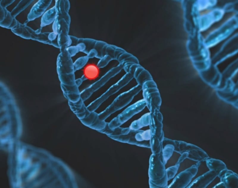 Dna