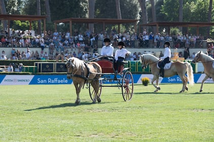 A Piazza di Siena il Carosello dell’inclusione diventa “Experience” 9