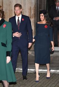 Meghan Markle, il ruolo pubblico: foto 10