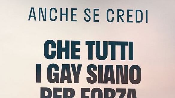 La destra "gay friendly"