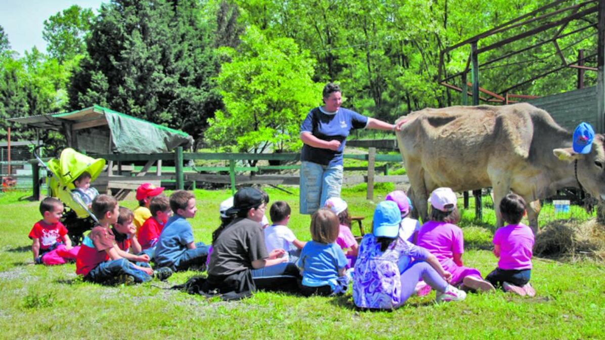 Campus estivi in fattoria tra l'orto e gli animali