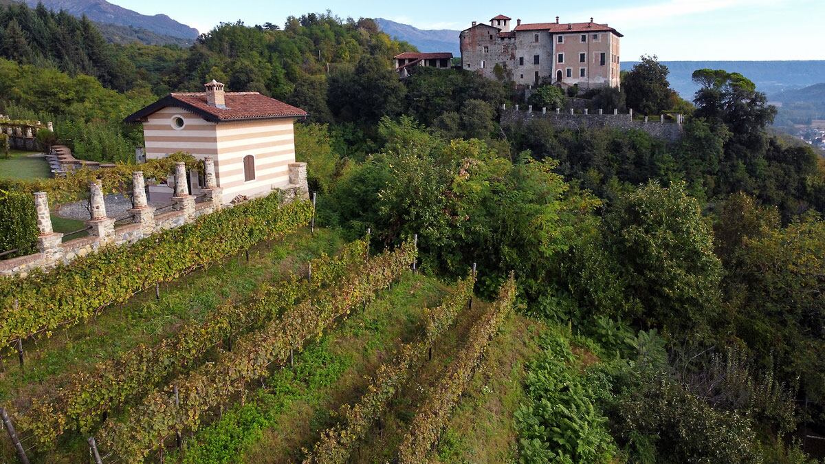 Erbaluce di Caluso, la luce dell’alba