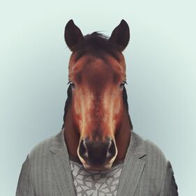 Avete mai visto animali vestiti da esseri umani? 20