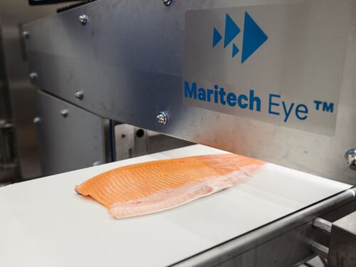 Dal mare alla tavola: un viaggio nel mondo del salmone norvegese