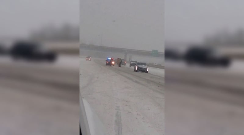 Uomo nudo in autostrada 8