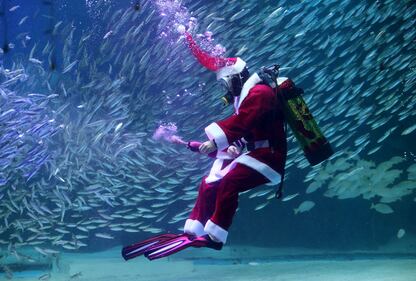 Babbo Natale sott'acqua, con i pesci di Seul 4