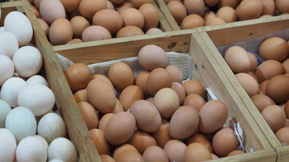 "Rischio chimico": ritirati due marchi di uova al fipronil