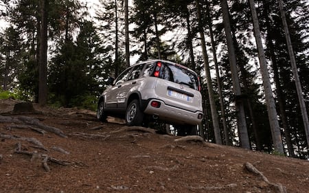 Fiat Panda 4x40° Limited Edition, guarda tutte le immagini 5