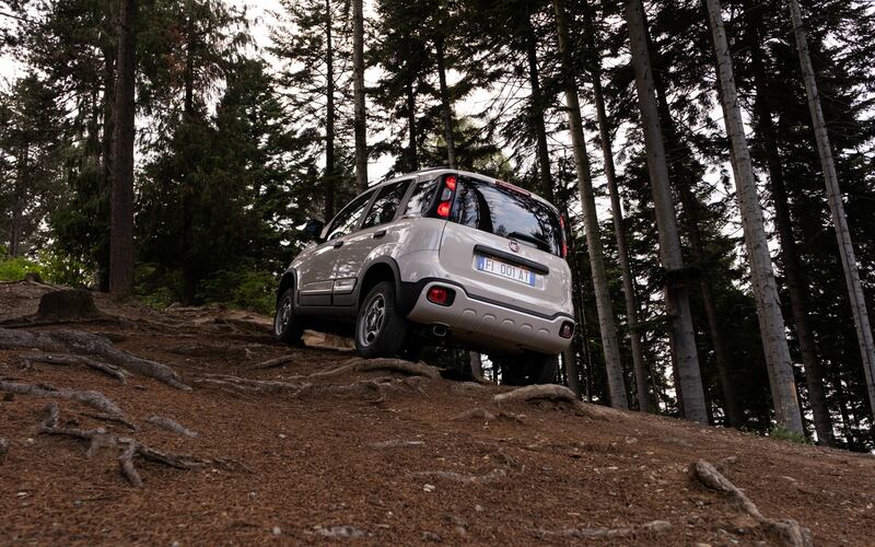 Fiat Panda 4x40° Limited Edition, guarda tutte le immagini 5