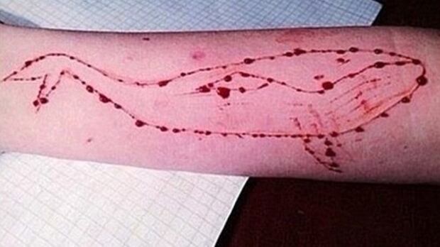 La Iena Viviani torna sulla Blue Whale: "Arrestato curatore russo"