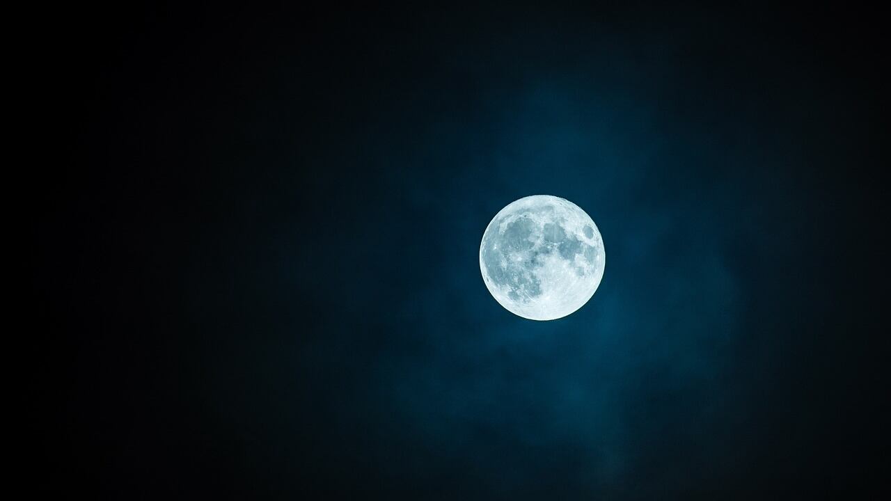 Un'"Arca di Noè" sulla Luna per salvare la biodiversità