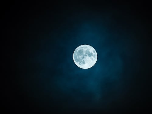 Un'"Arca di Noè" sulla Luna per salvare la biodiversità