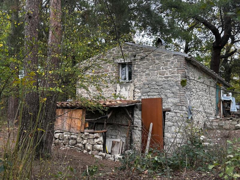 Famiglia nel bosco, le foto della casa a Palmoli 8