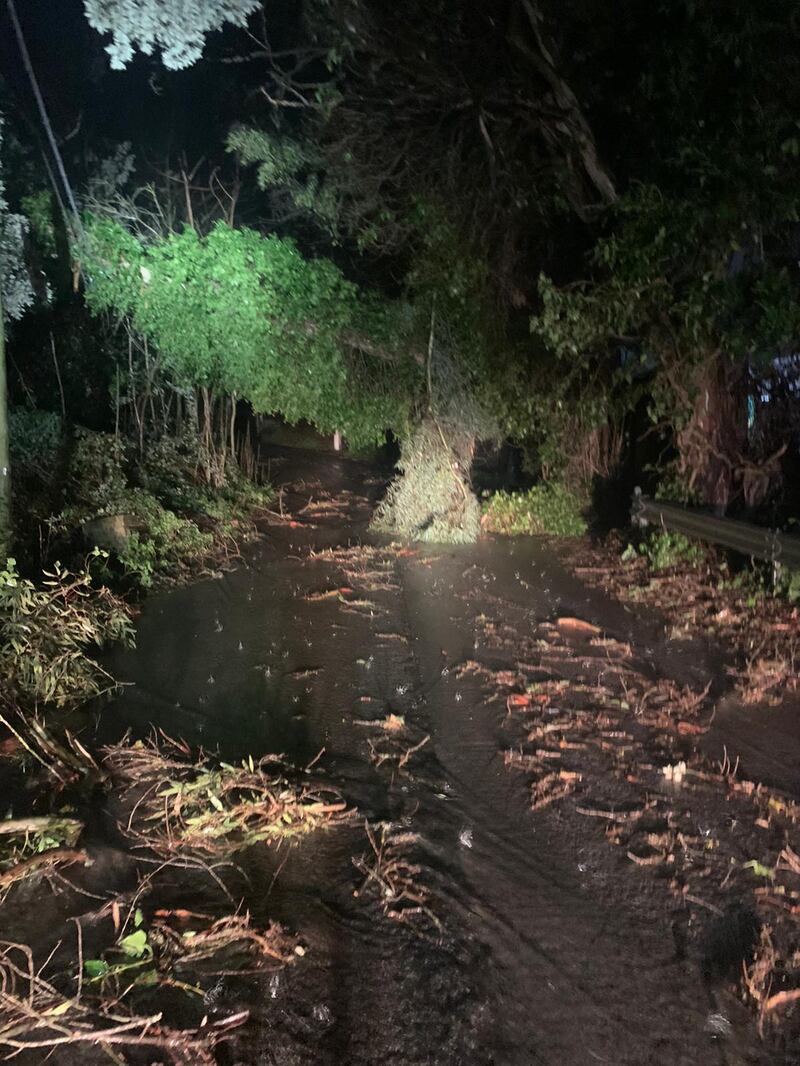 Alberi sradicati, tettoie divelte: l'incubo del vento in Sicilia 7