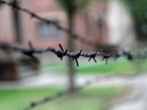 Roma, spunta la lista degli Schindler italiani. "3.200 gli ebrei salvati in chiese e conventi"