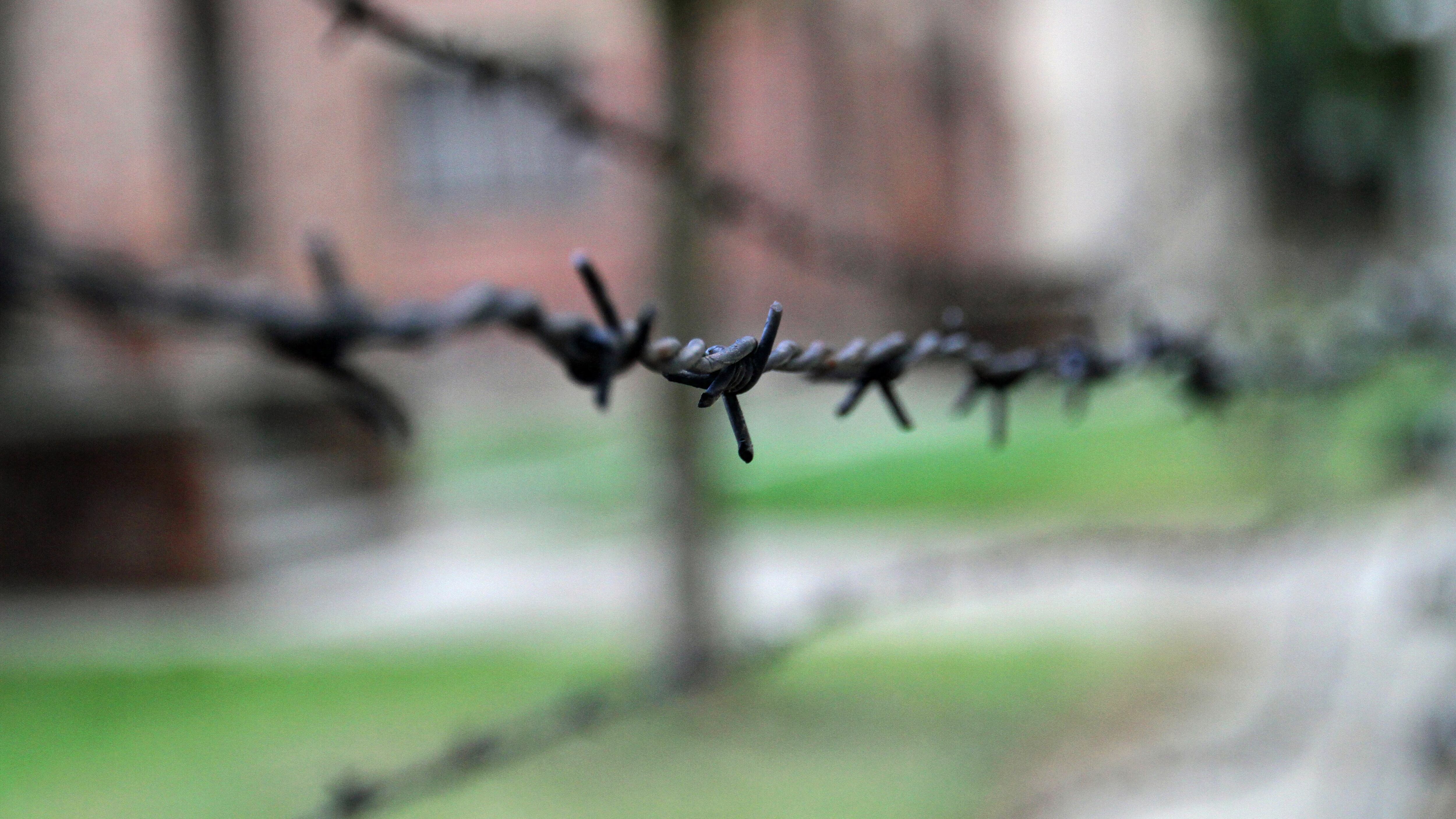 Roma, spunta la lista degli Schindler italiani. "3.200 gli ebrei salvati in chiese e conventi"