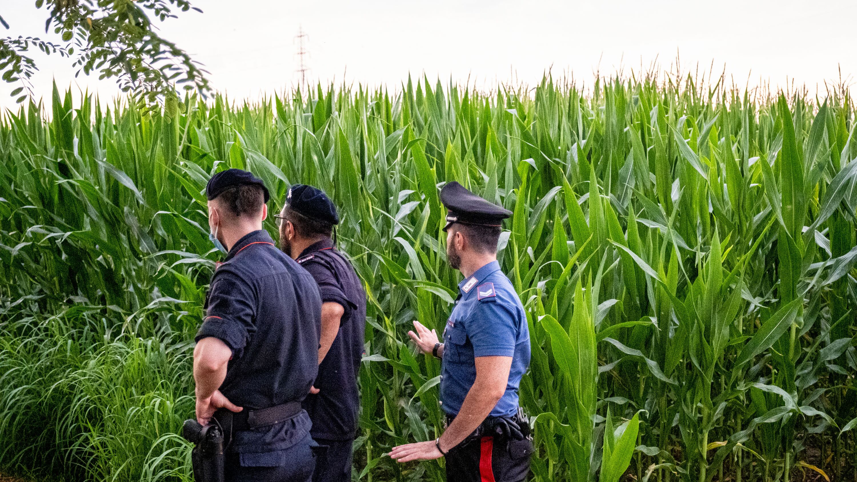 Donne investite e uccise da un mezzo agricolo. Trovato l'agricoltore: "Non mi sono accorto"