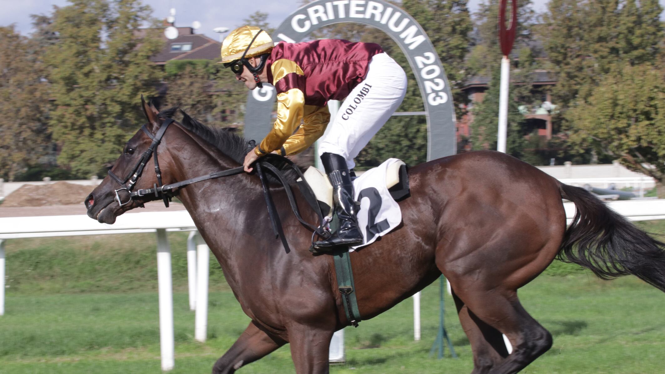 Domenica di grande galoppo a San Siro con il Gran Criterium e il Premio Dormello