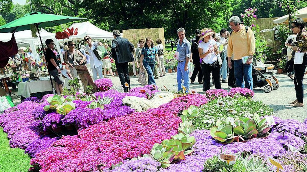 L'anno delle rose Orticola celebra il fiore più amato