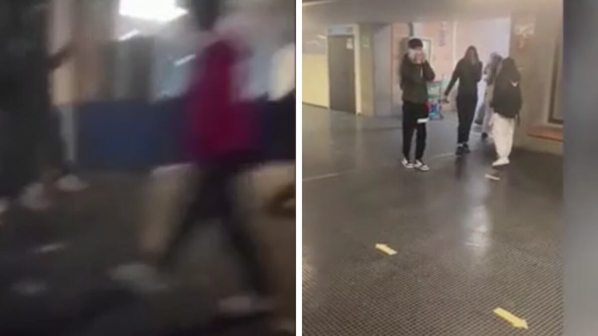 "Tirateli via, nascondeteli". Un'altra occupazione violenta a scuola