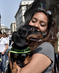 La "Sausage Walk" a Milano: sfilano i bassotti 5