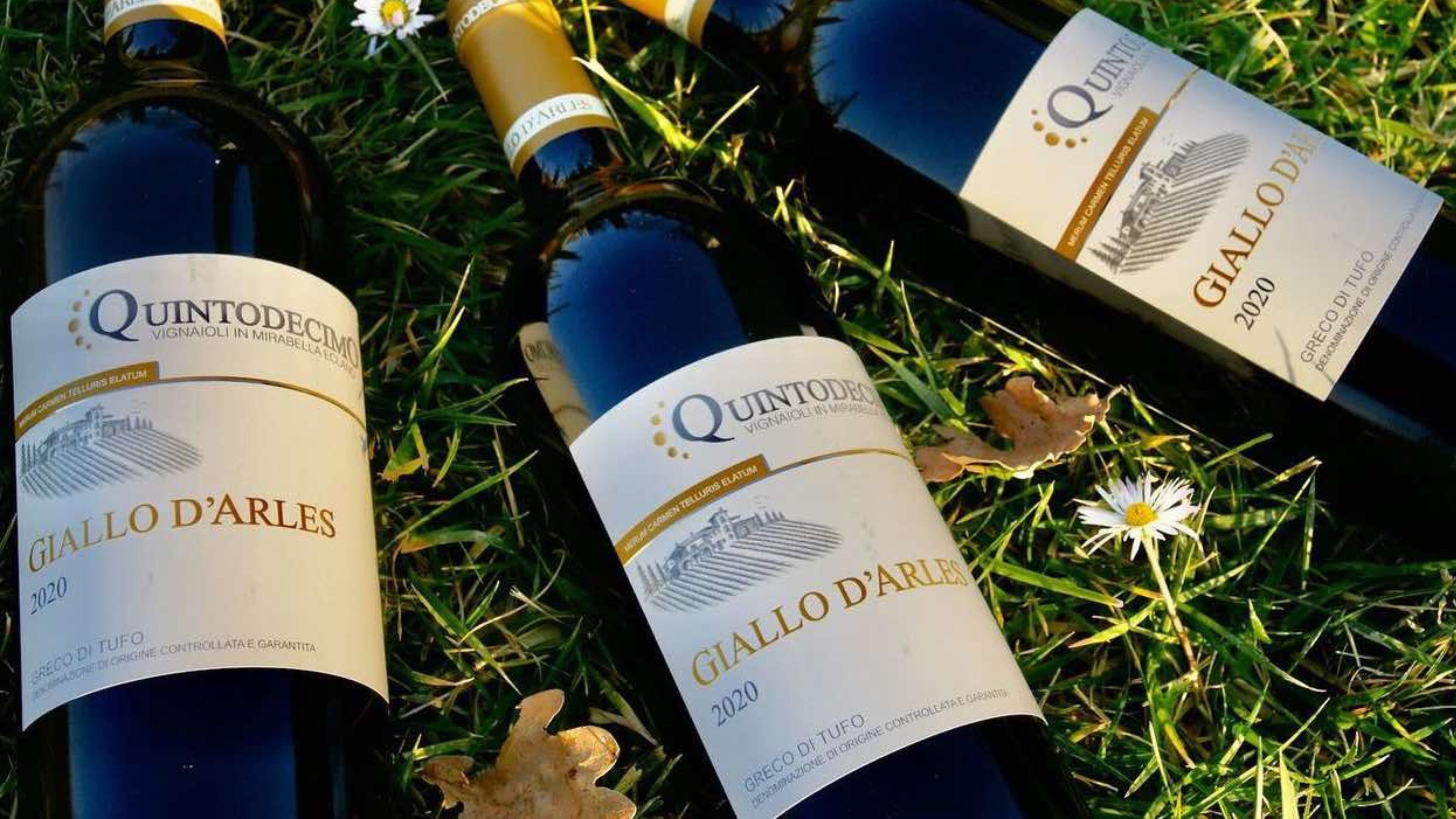 Quintodecimo, il sogno di Luigi Moio