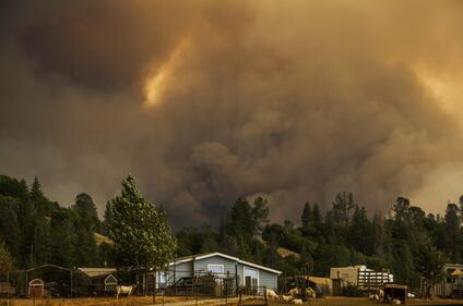 California devastata dagli incendi 16