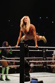 Bellezze mozzafiato e fisici scolpiti. Ecco le donne di Wrestlemania 4
