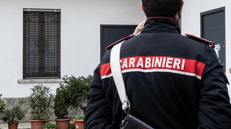 Padova, anziana aggredita dai suoi cinque cani: amputate le braccia