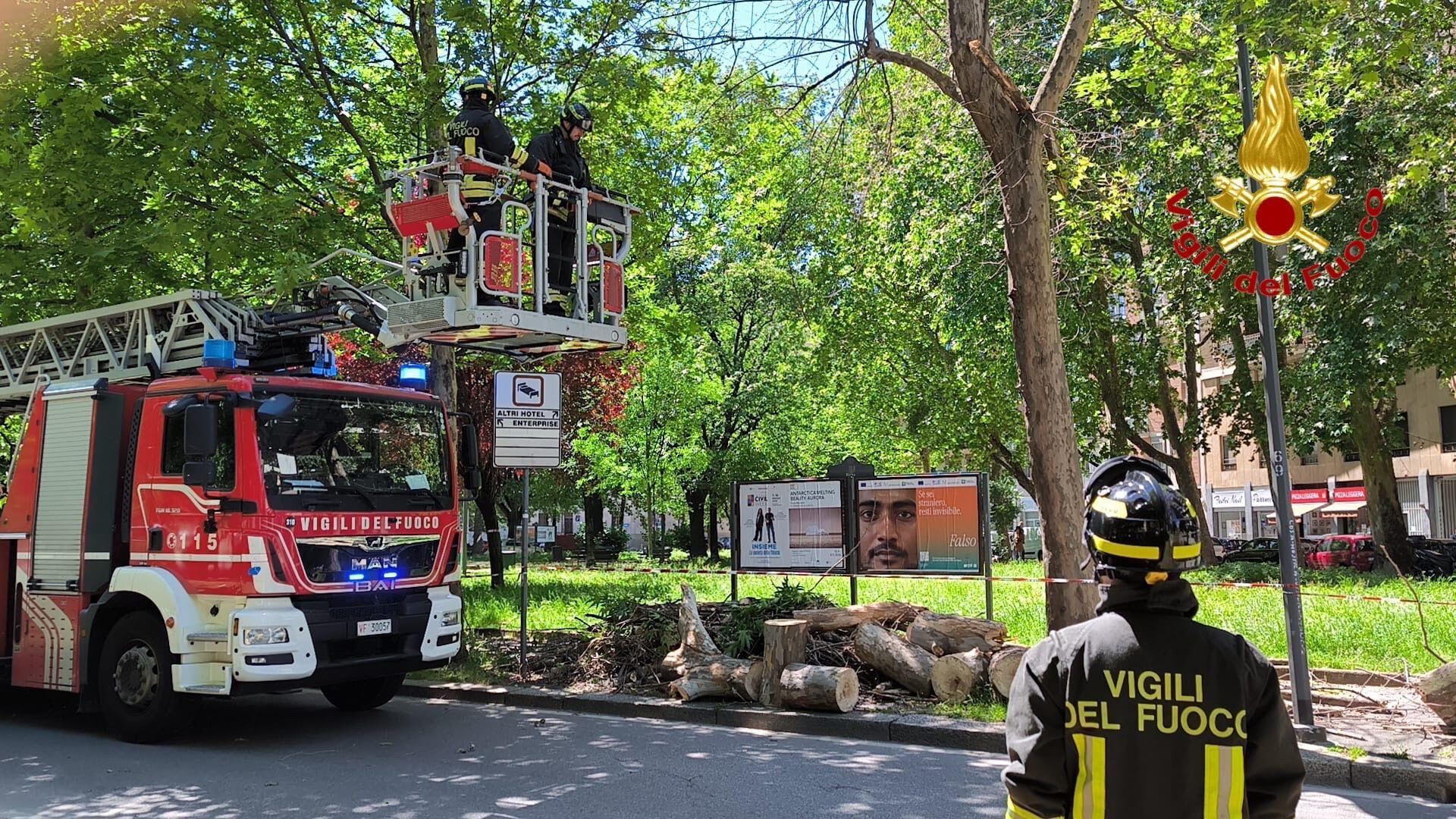 Raffiche di vento a 80 km/h. Alberi sulla rete tranviaria
