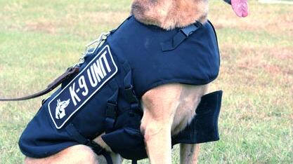 Carabinieri scoprono droga nascosta nei bagni di scuola