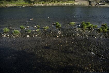 Il coronavirus "ripulisce" le acque del fiume Po 7