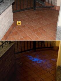 Luminol 3