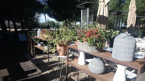 Il Vivi Bistrot di Villa Doria Pamphilii 6