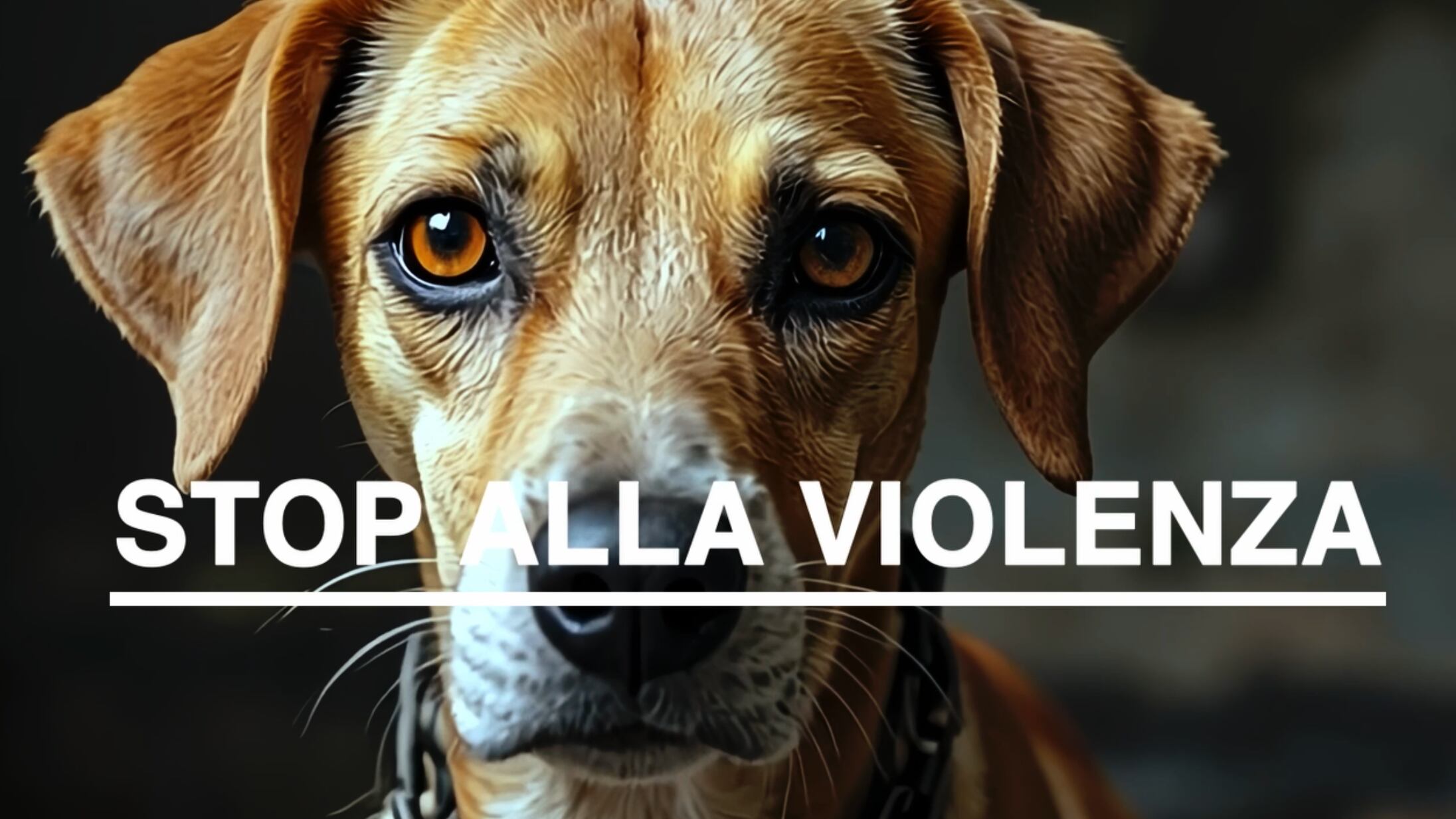 Leidaa, la nuova campagna per salvare gli animali vittime di gravi maltrattamenti