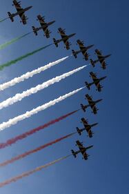 La sfilata delle Forze armate 14