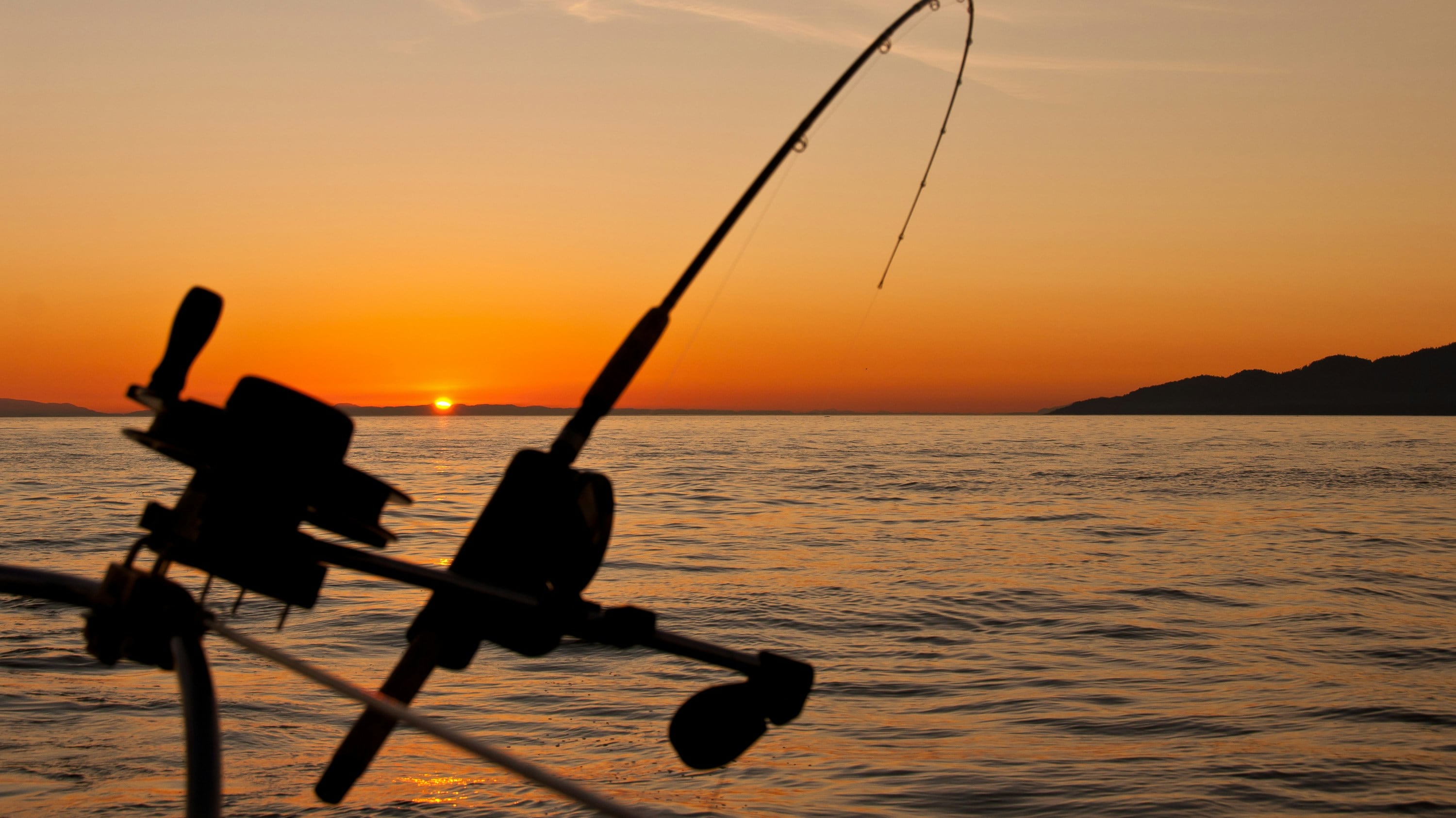 pesca