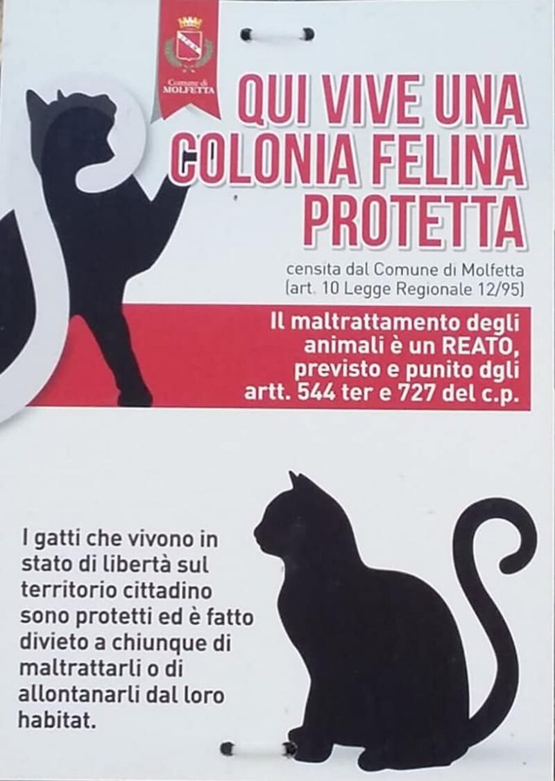 locandina per la tutela dei gatti a Molfetta